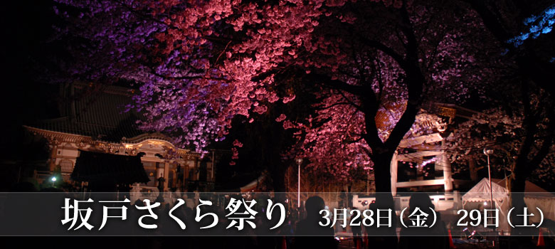˂Ղ@328ij 29iyj
